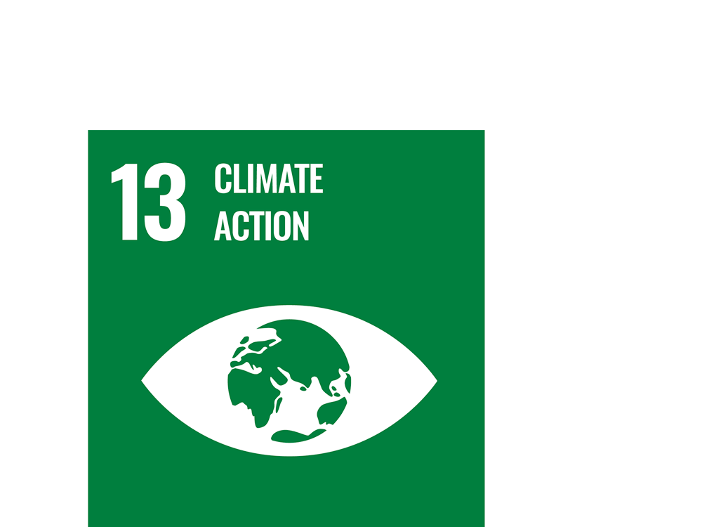 SDG-13-3